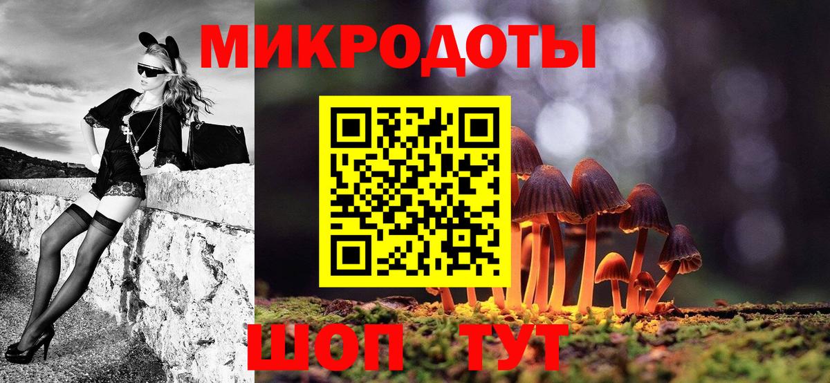 Галлюциногенные грибы Psilocybine cubensis  Вход с VPN  Аша  Галлюциногенные грибы Cubensis 