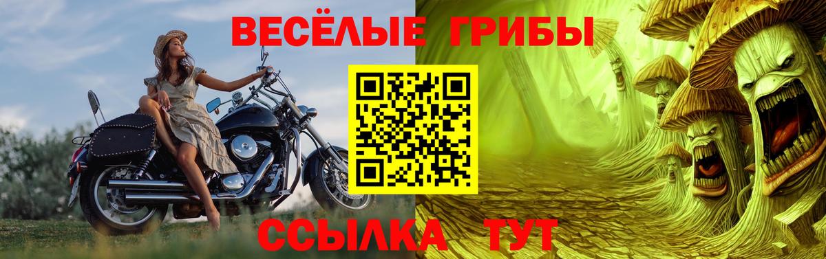 Галлюциногенные грибы прущие грибы Аша